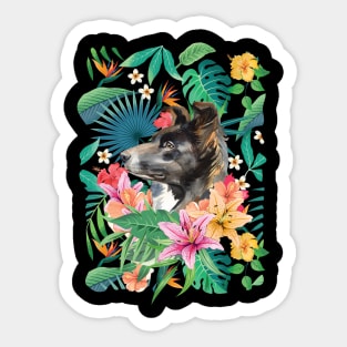 Tropical Black White Border Collie 3 Sticker